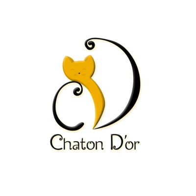 CHATON DOR